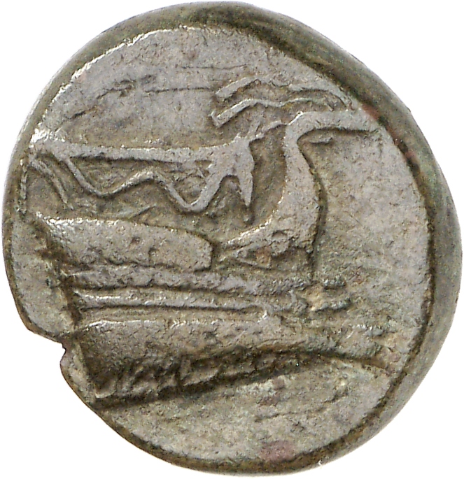 аверс CN Type cn.elaeus.1_ed.5
