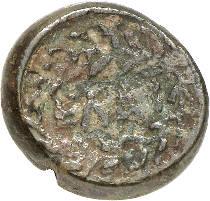 реверс CN Type cn.elaeus.1_ed.5