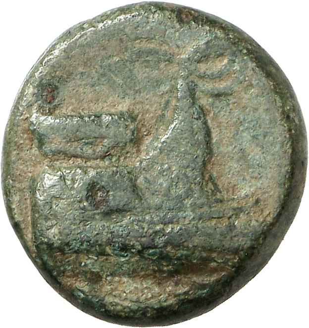 CN Type cn.elaeus.1_ed.5, аверс, cn-coins
