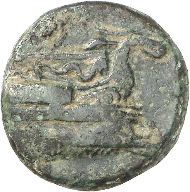 CN Type cn.elaeus.1_ed.5, аверс, cn-coins