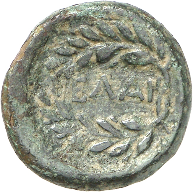 CN Type cn.elaeus.1_ed.5, реверс, cn-coins