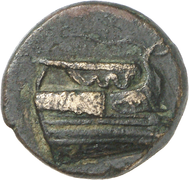 CN Type cn.elaeus.1_ed.5, аверс, cn-coins