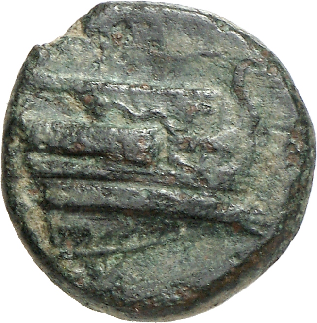 CN Type cn.elaeus.1_ed.5, аверс, cn-coins