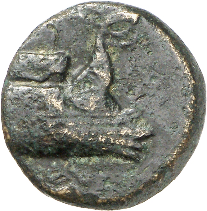 CN Type cn.elaeus.1_ed.5, аверс, cn-coins