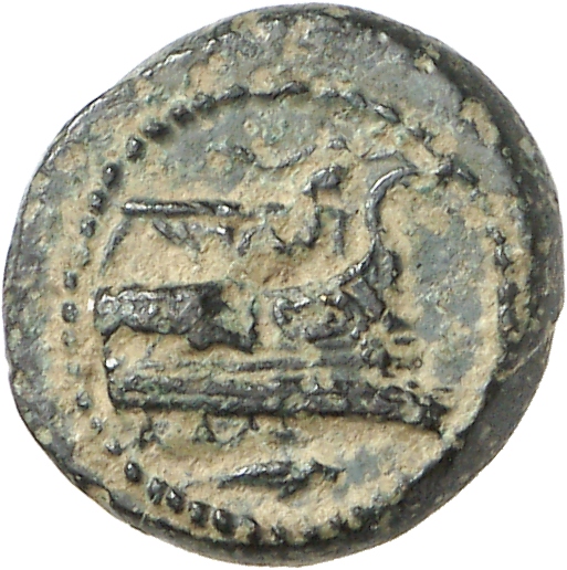 CN Type cn.elaeus.1_ed.13, аверс, cn-coins