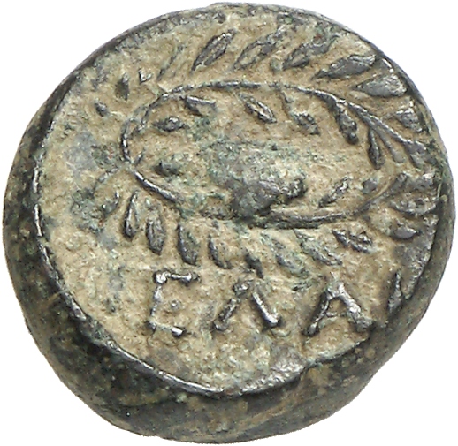 CN Type cn.elaeus.1_ed.13, реверс, cn-coins