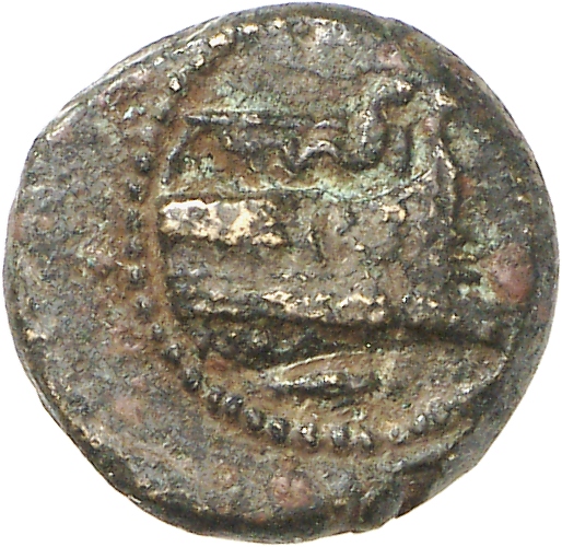CN Type cn.elaeus.1_ed.13, аверс, cn-coins