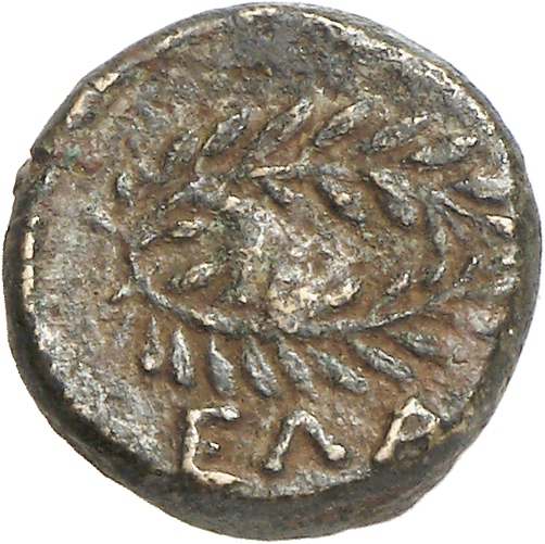 CN Type cn.elaeus.1_ed.13, реверс, cn-coins