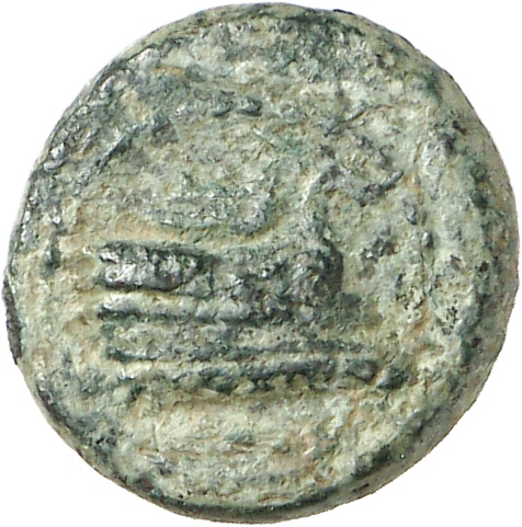 CN Type cn.elaeus.1_ed.13, аверс, cn-coins