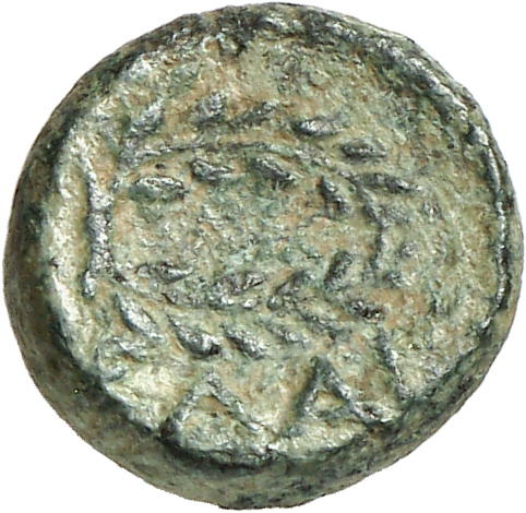CN Type cn.elaeus.1_ed.13, реверс, cn-coins