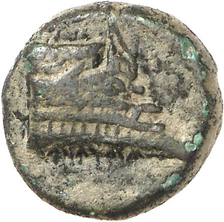 CN Type cn.elaeus.1_ed.19, аверс, cn-coins