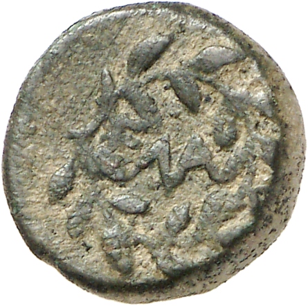 CN Type cn.elaeus.1_ed.19, реверс, cn-coins