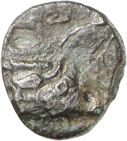 CN Type cn.elaeus.1_ed.19, аверс, cn-coins