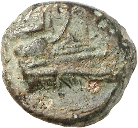 CN Type cn.elaeus.1_ed.19, аверс, cn-coins