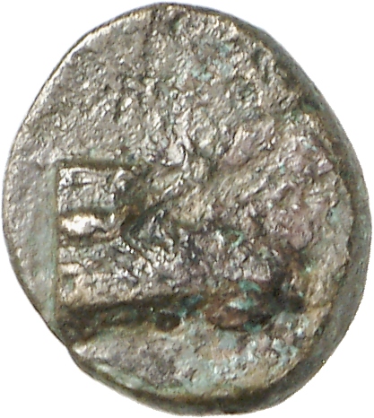 CN Type cn.elaeus.1_ed.19, аверс, cn-coins
