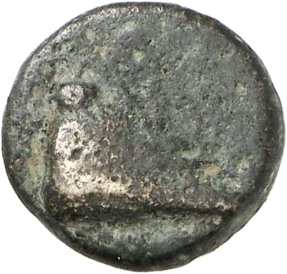 CN Type cn.elaeus.1_ed.19, аверс, cn-coins