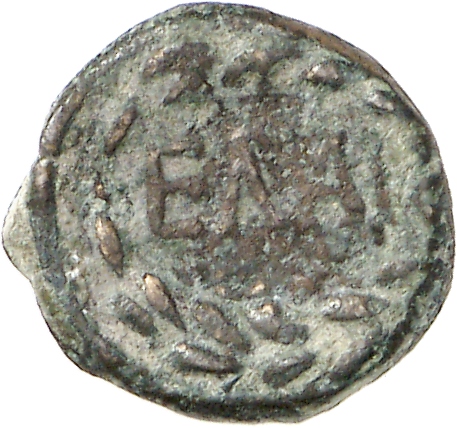 reverse CN Type cn.elaeus.1_ed.18