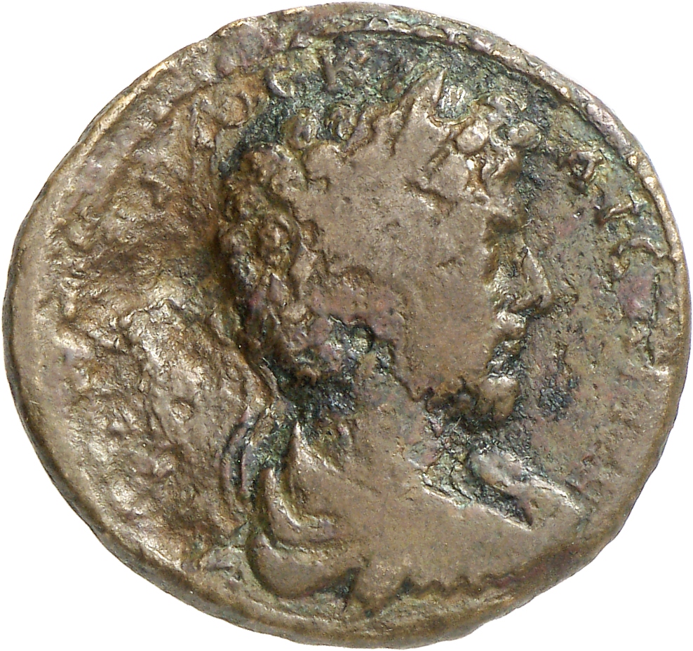 obverse CN Type cn.elaeus.1_ed.20