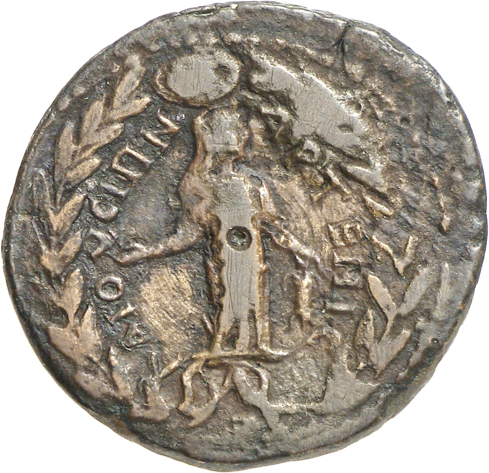 reverse CN Type cn.elaeus.1_ed.20