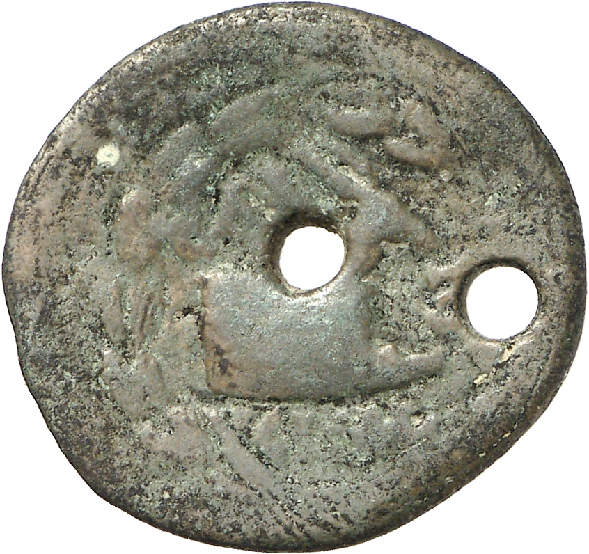 reverse CN Type cn.elaeus.1_ed.22