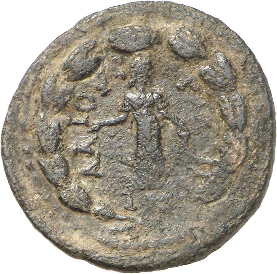 reverse CN Type cn.elaeus.1_ed.26