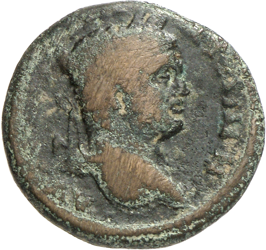 CN Type cn.elaeus.1_ed.26, аверс, cn-coins