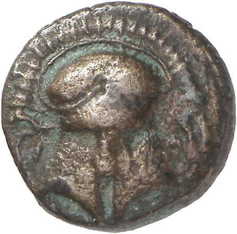 CN Type cn.mesembria.1_ed.16, аверс, cn-coins