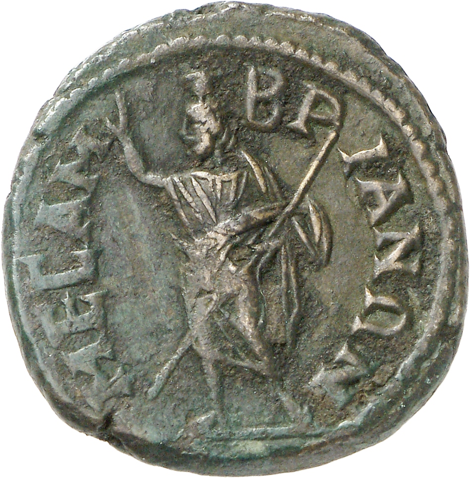 CN Type cn.mesembria.1_ed.241, реверс, cn-coins