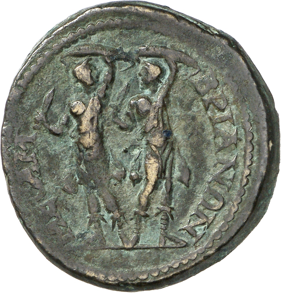 reverse CN Type cn.mesembria.1_ed.244