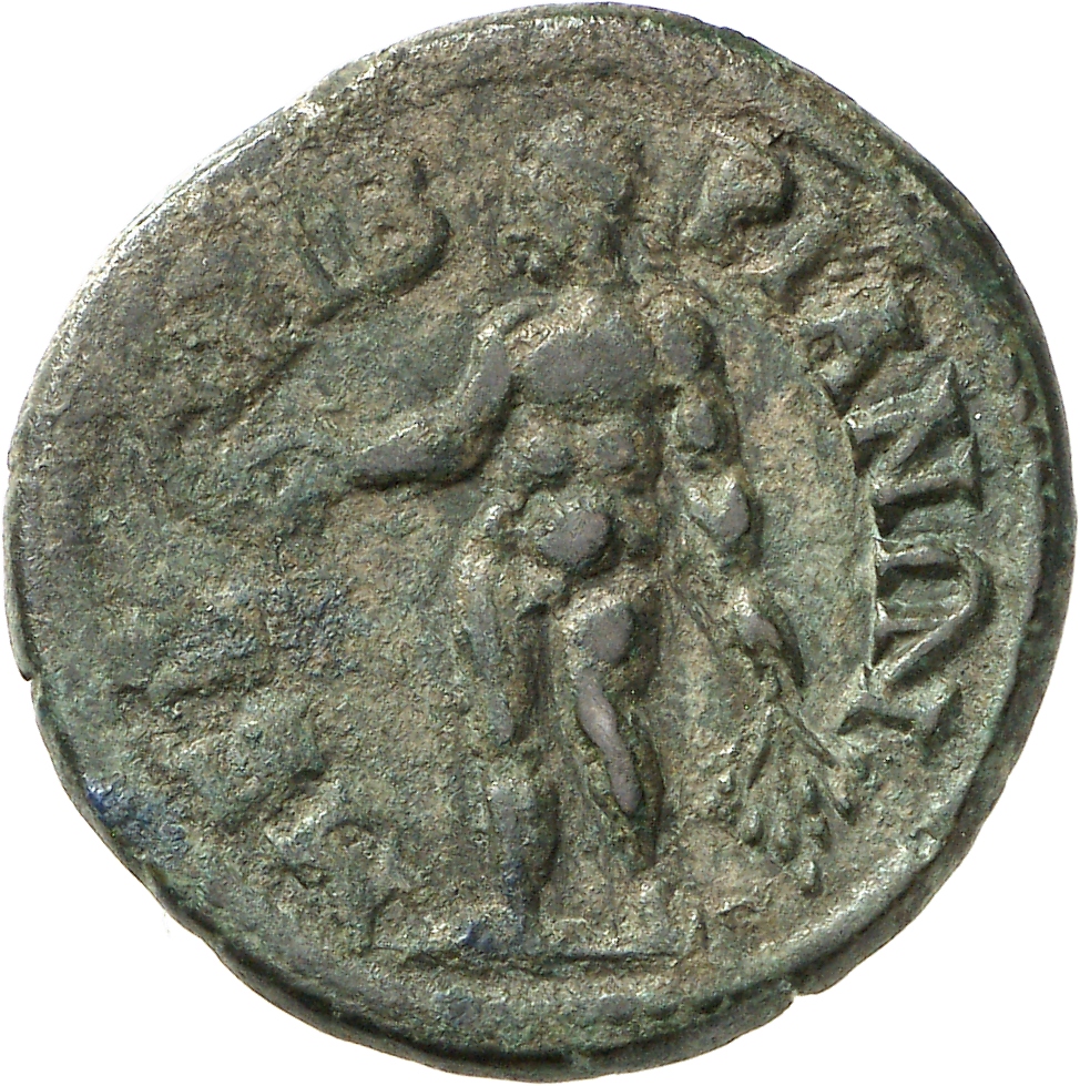 реверс CN Type cn.mesembria.1_ed.238