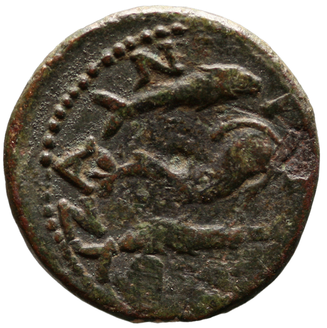 CN Type cn.byzantium.1_ed.561, реверс, cn-coins