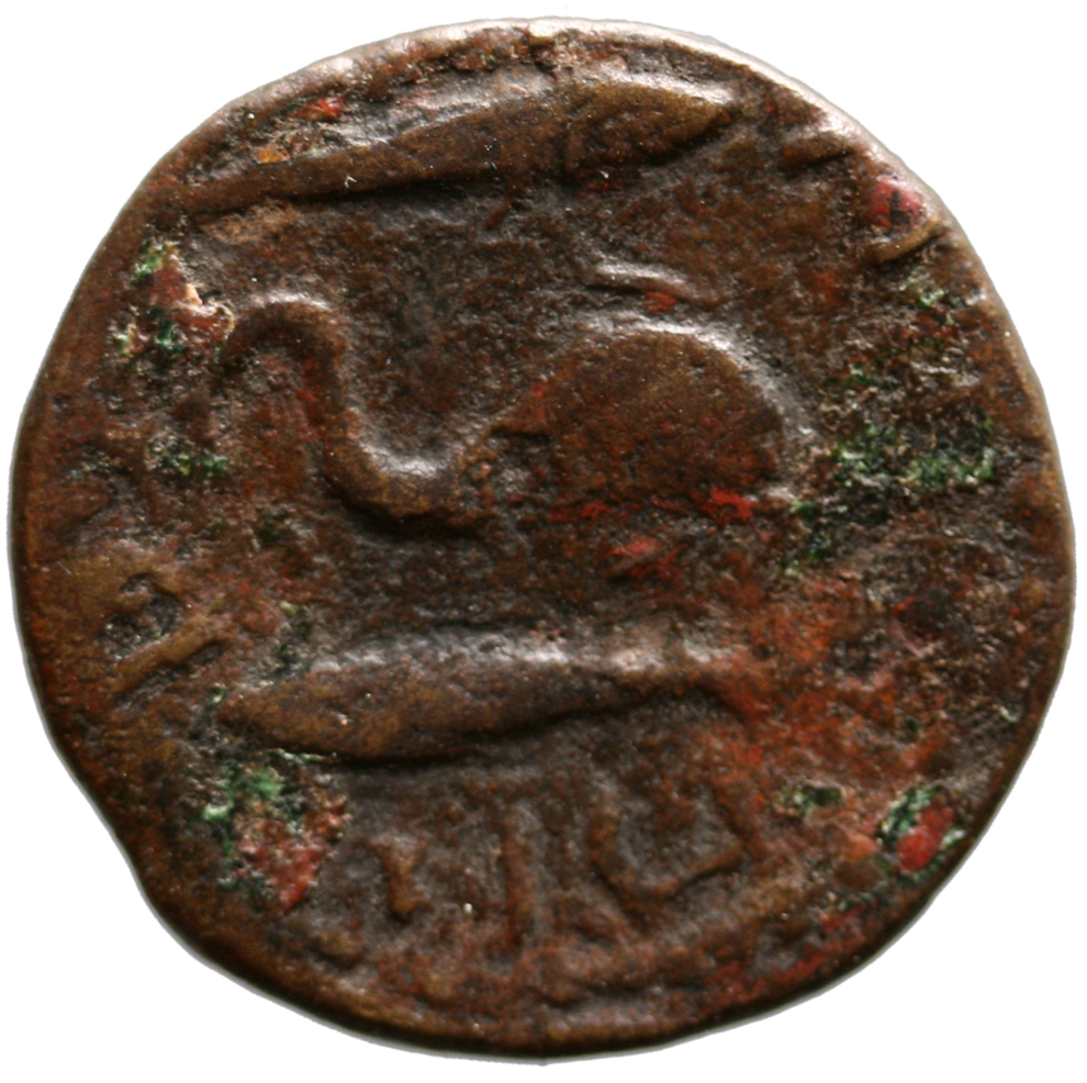CN Type cn.byzantium.1_ed.562, реверс, cn-coins