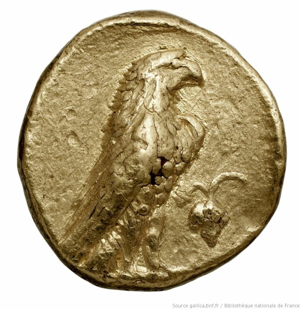coin rev