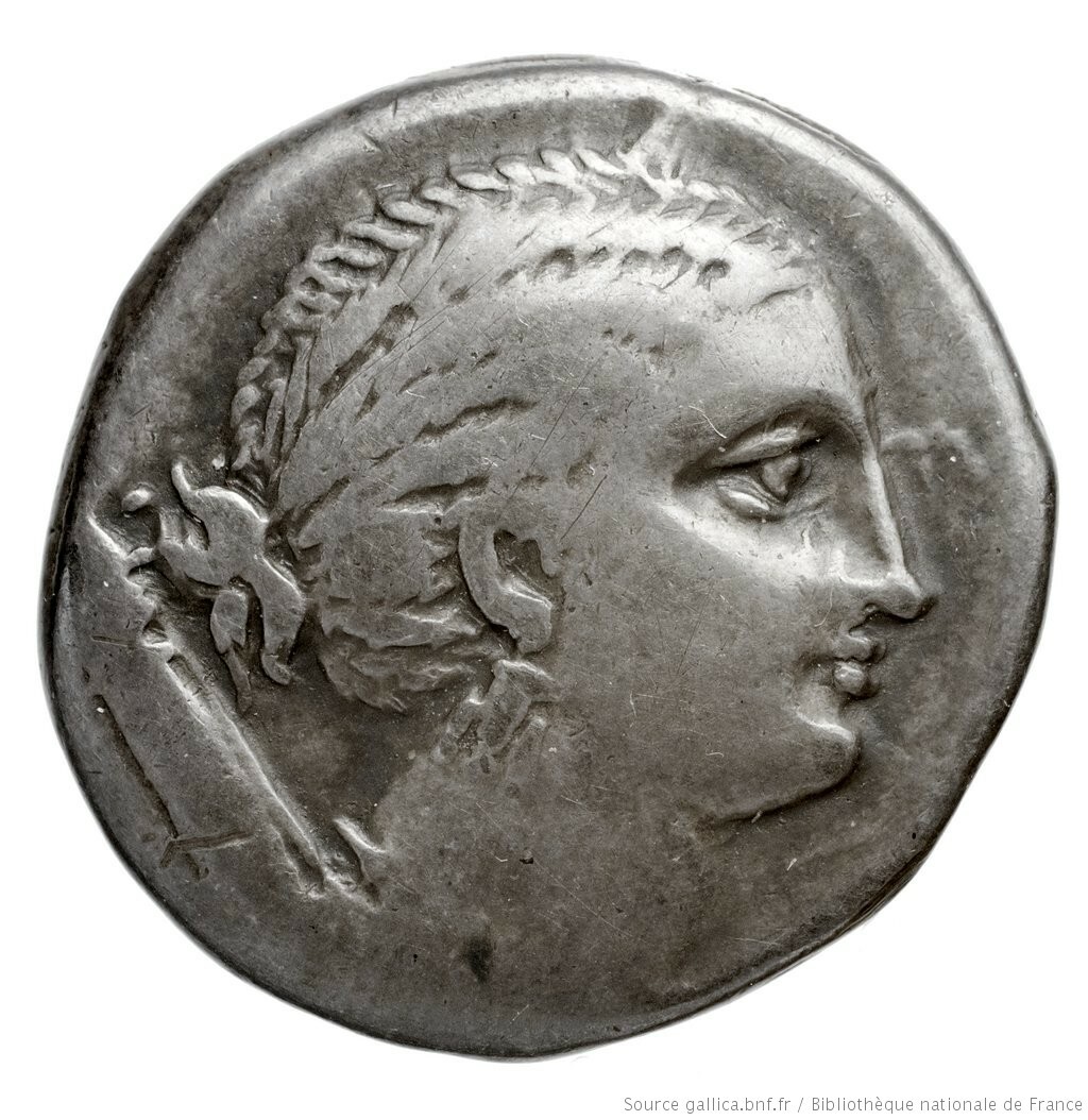 CN Type cn.orthagoreia_thrace.1_ed.4, аверс, cn-coins