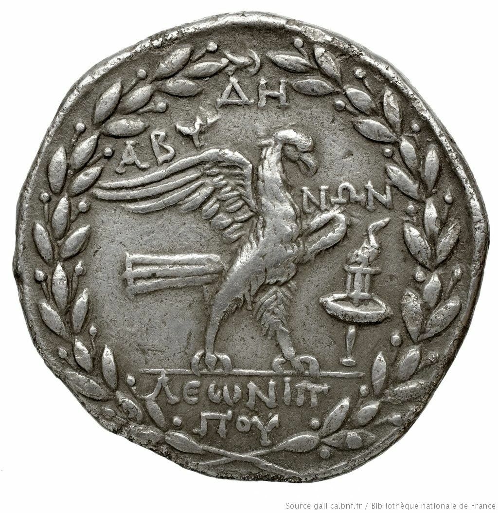 coin rev
