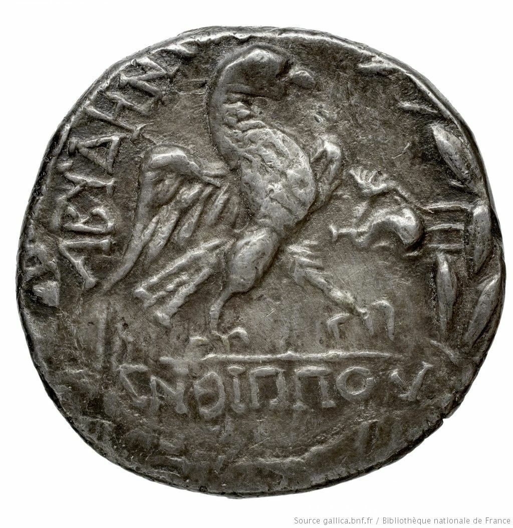 CN Type 2485, реверс, cn-coins
