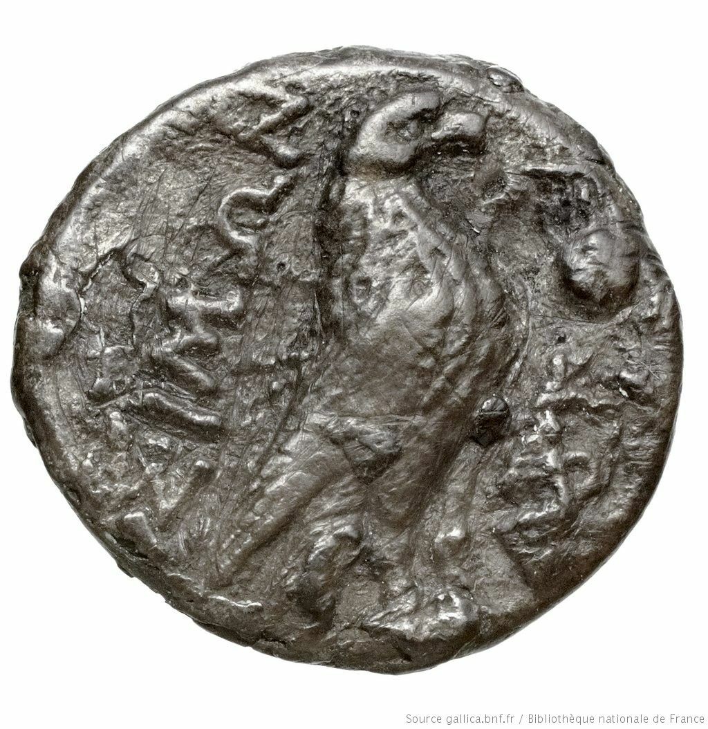 coin rev