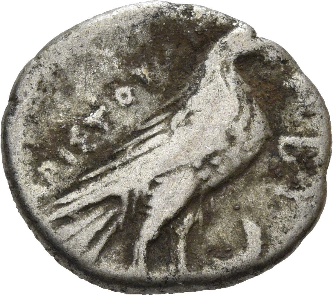 CN Type 2557, реверс, cn-coins