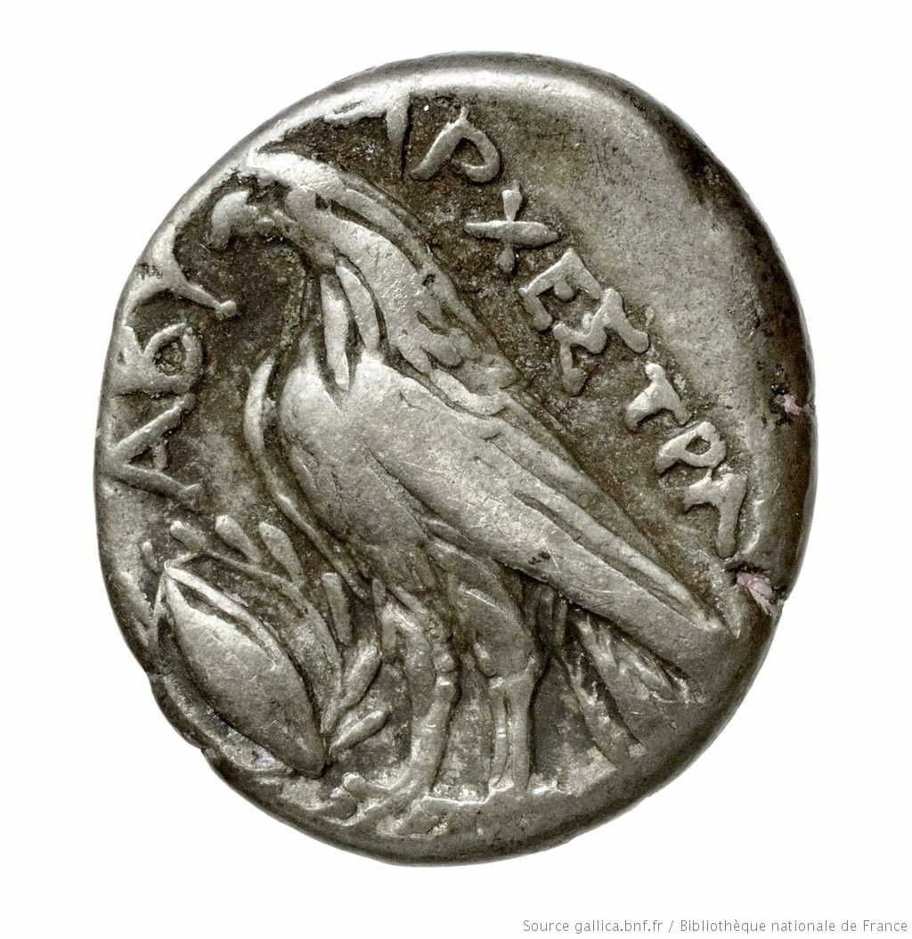 coin rev