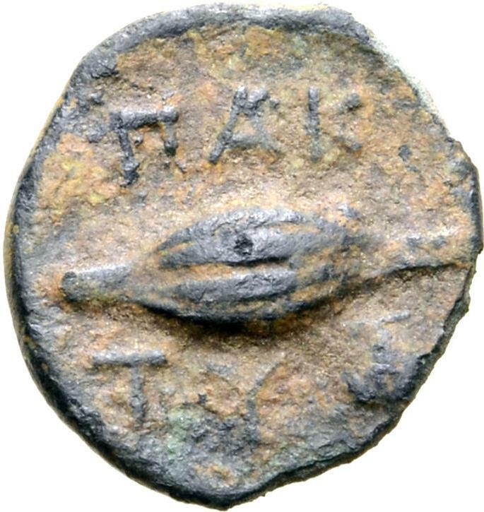 reverse CN Type cn.paktye.1_ed.1