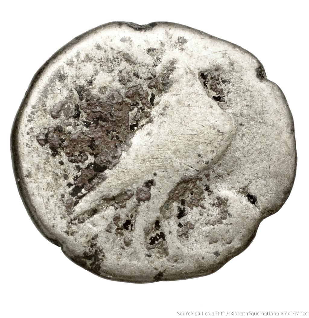 coin rev