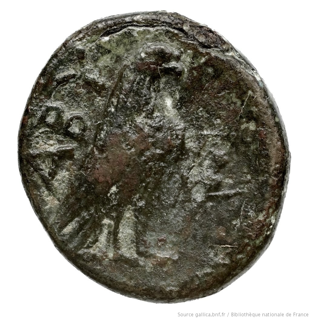 coin rev