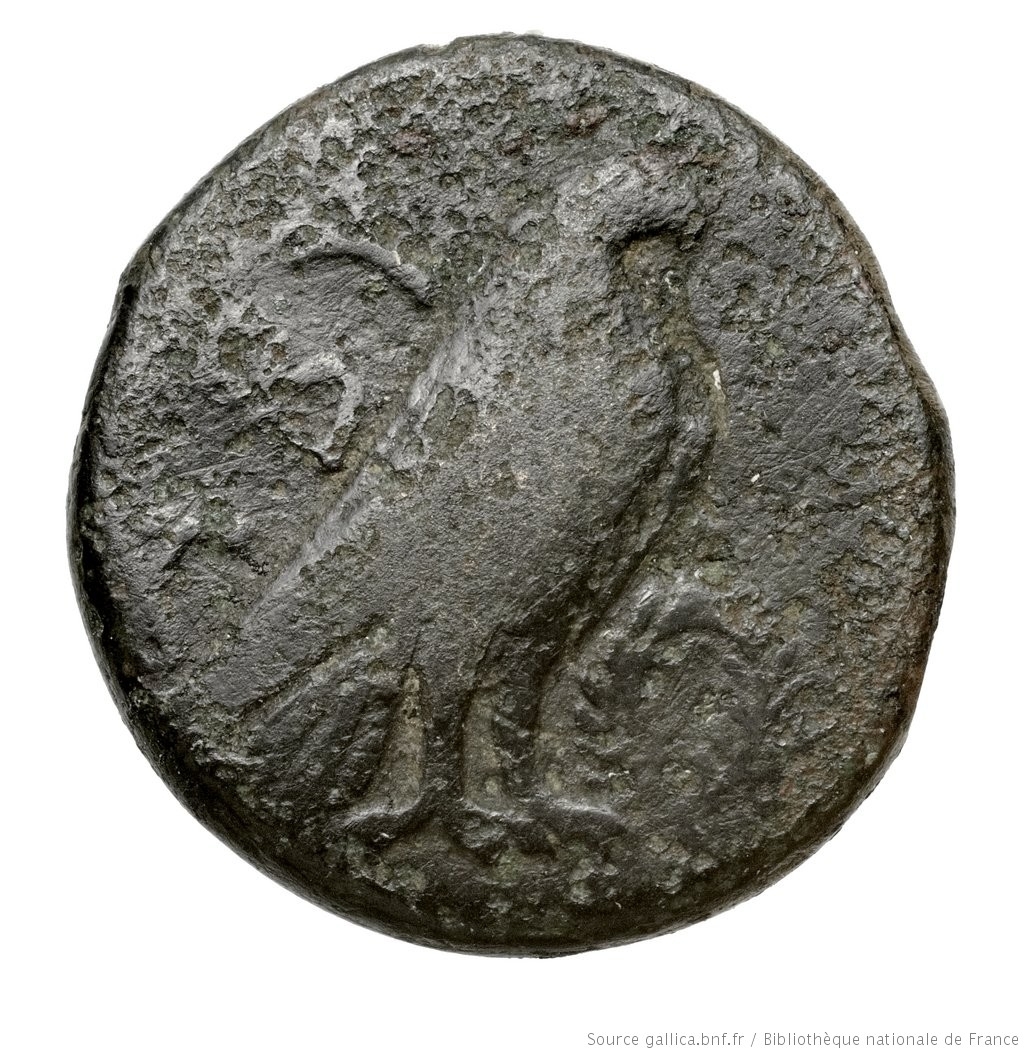 coin rev