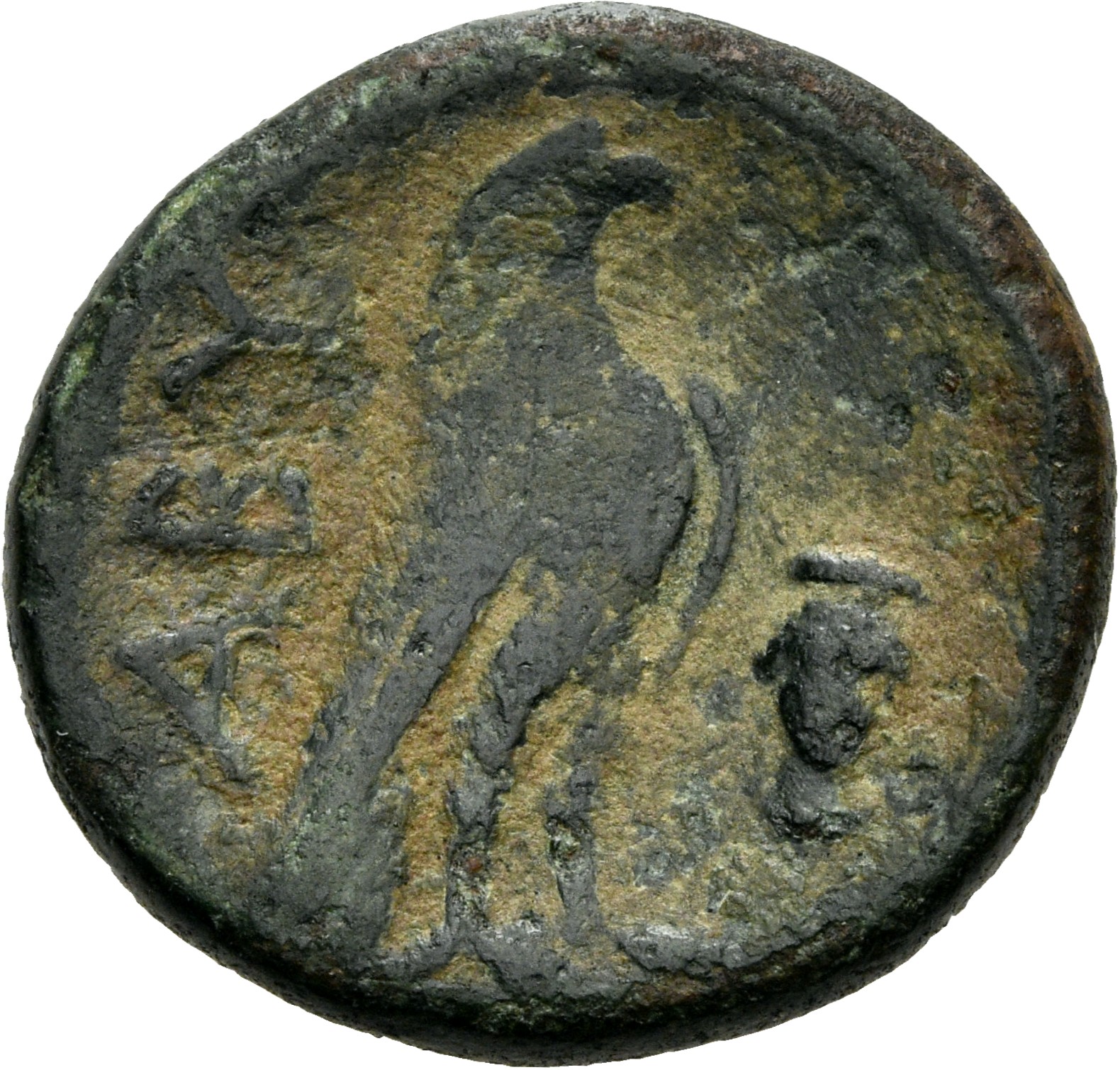 coin rev