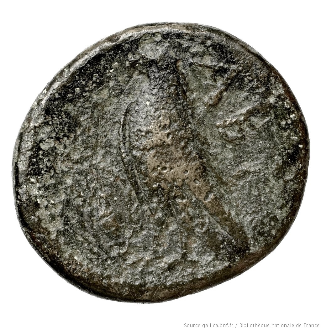 coin rev