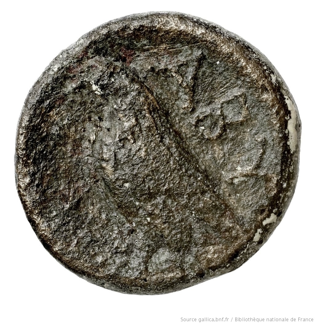 CN Type 2834, реверс, cn-coins