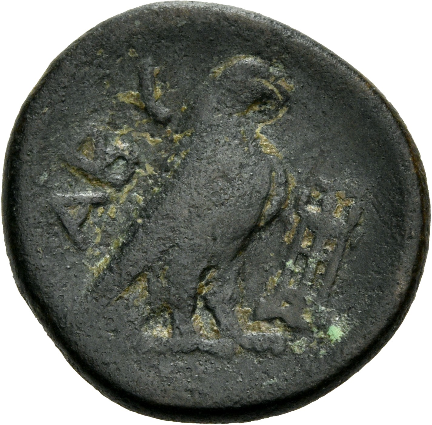 CN Type 2843, реверс, cn-coins