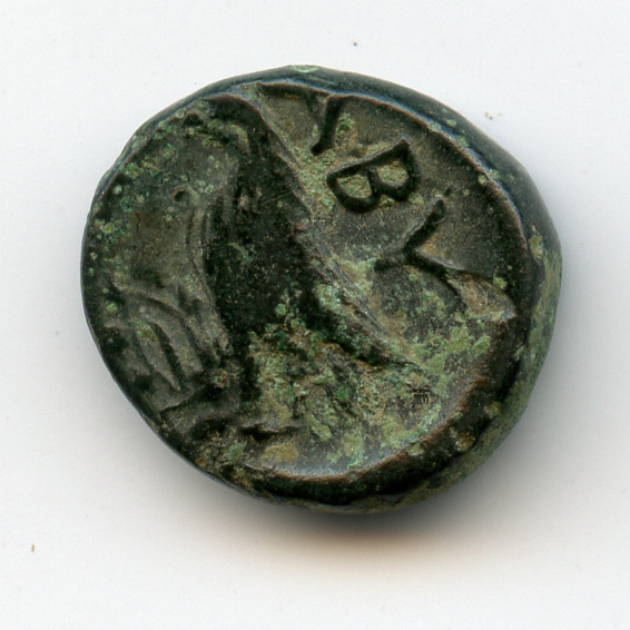 CN Type 2855, реверс, cn-coins
