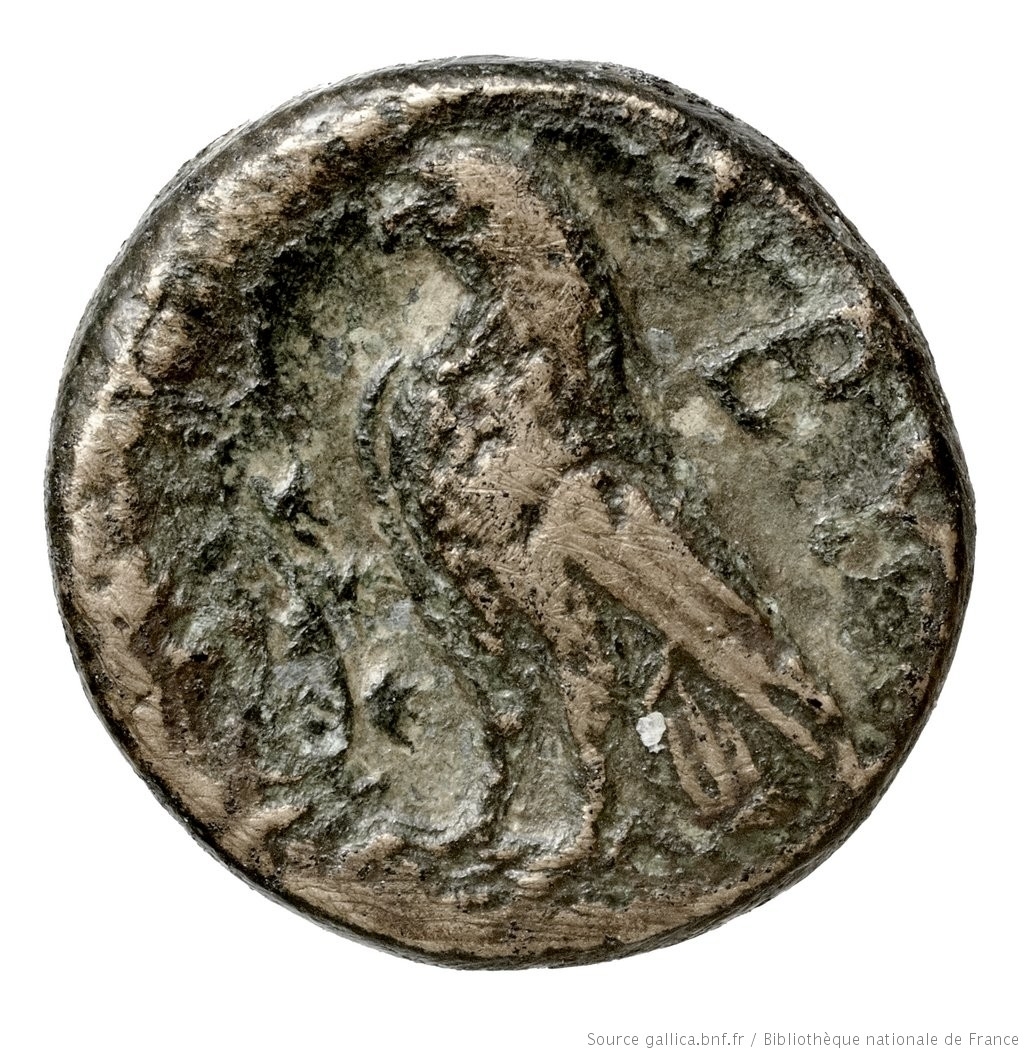 CN Type 2855, реверс, cn-coins