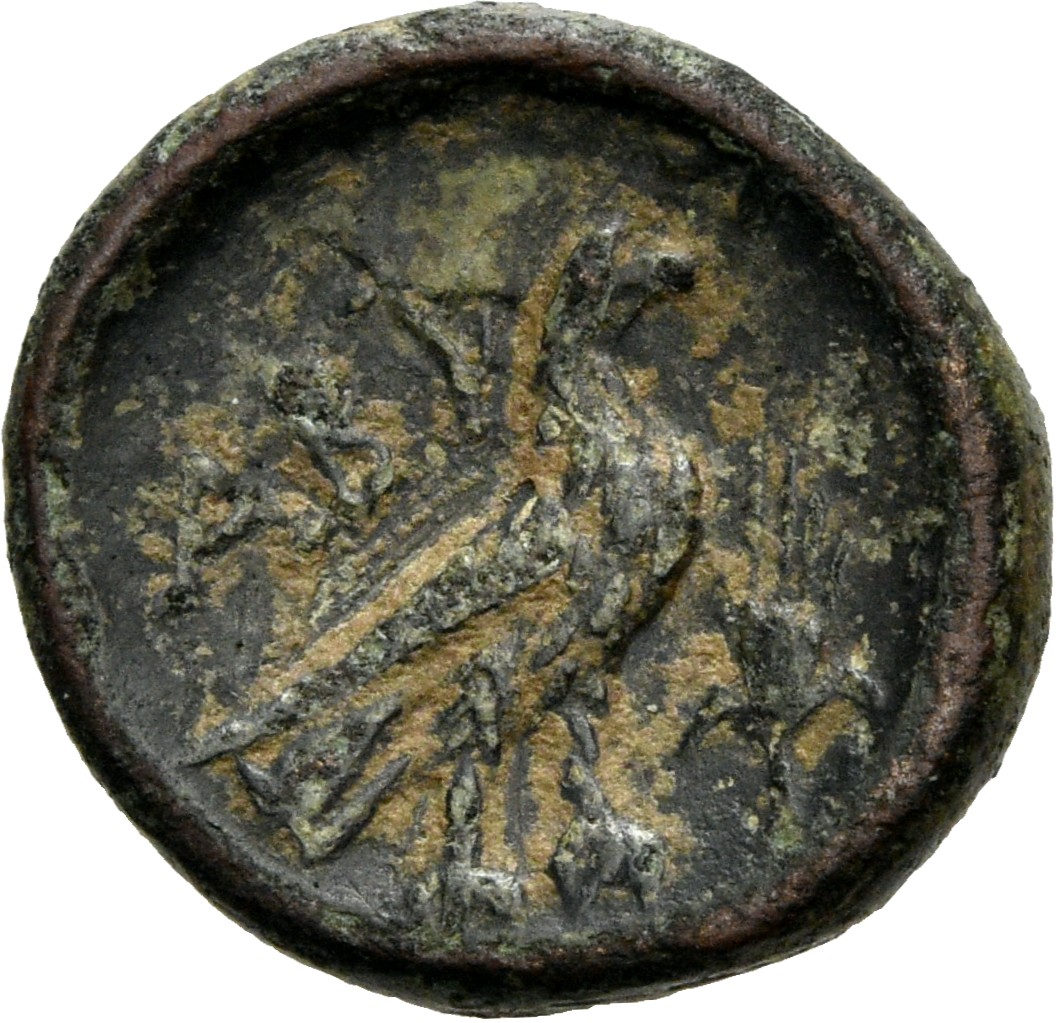 CN Type 2859, реверс, cn-coins